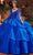 Rachel Allan RQ2173 - Floral Lace Tiered Ballgown Ball Gowns
