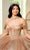 Rachel Allan RQ2183 - Corset Gleaming Tulle Ballgown Ball Gowns