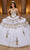 Rachel Allan RQ5003 - Strapless Lace Embellished Ballgown Ball Gowns 0 / White Gold