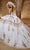 Rachel Allan RQ5003 - Strapless Lace Embellished Ballgown Ball Gowns