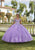 Vizcaya by Mori Lee 89422 - Sparkle Tulle Embroidered Lace Ballgown Special Occasion Dress