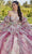 Vizcaya by Mori Lee 89423 - Floral Printed Sweetheart Ballgown Ball Gowns