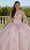 Vizcaya by Mori Lee 89424 - Sleeveless 3D Floral Embroidered Ballgown Ball Gowns