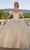 Vizcaya by Mori Lee 89430 - V-Neck Rhinestone Accented Ballgown Ball Gowns 00 / Nude