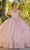 Vizcaya by Mori Lee 89432 - V-Neck Floral Lace Ballgown Ball Gowns