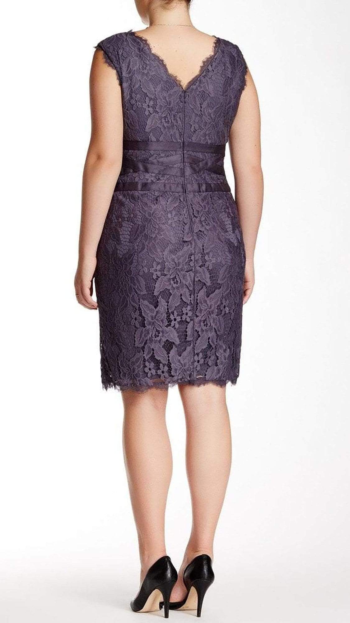 adrianna papell plus size lace dress Adrianna Papell Plus Size Women's A-Line Lace Shift Dress, Size 18W