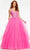 Ashley Lauren - 11146 Embroidered V-Neck Tulle Ballgown Prom Dresses 00 / Pink
