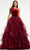 Ashley Lauren - 11165 Jeweled Organza Ballgown Prom Dresses 0 / Burgundy