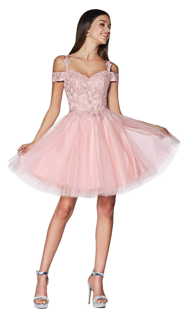 **Cinderella Divine: Enchanting Lace and Tulle for Your Special Night (CD0132)** main image 0
