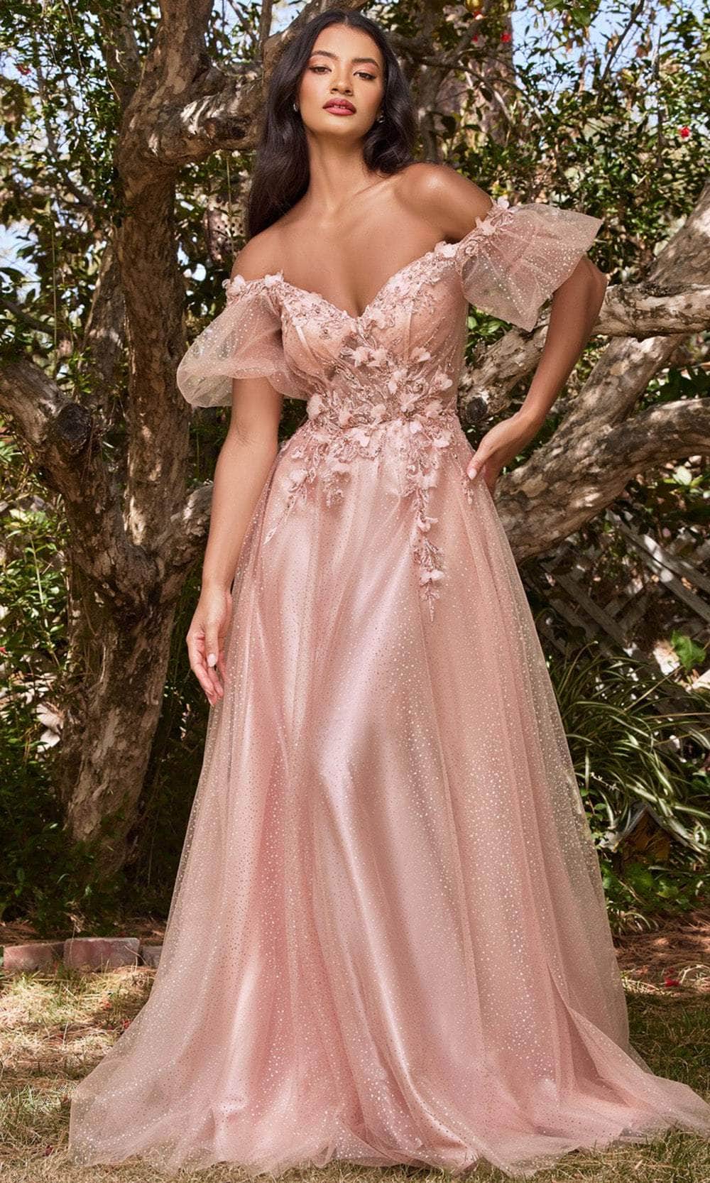 Cinderella Divine CD0197 Off Shoulder Glitter Tulle Gown