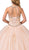 Dancing Queen - 1346 Jeweled Lace Appliqued Halter Ballgown Special Occasion Dress