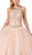 Dancing Queen - 1346 Jeweled Lace Appliqued Halter Ballgown Special Occasion Dress