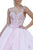 Dancing Queen - 1546 Bead-Garlanded Embroidered Bodice Ballgown Quinceanera Dresses