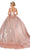 Dancing Queen - 1558 Sequin V-Neck Ballgown Quinceanera Dresses