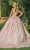 Dancing Queen - 1624 Sequin Showered Shiny Ballgown Special Occasion Dress