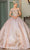 Dancing Queen 1658 - Applique Glitter Quinceanera Ballgown Ball Gowns XS / Rose Gold