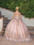 Dancing Queen 1676 - Glitter Applique Quinceanera Ballgown Special Occasion Dress
