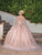 Dancing Queen 1676 - Glitter Applique Quinceanera Ballgown Special Occasion Dress