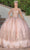 Dancing Queen 1676 - Glitter Applique Quinceanera Ballgown Special Occasion Dress XS / Rose Gold