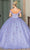 Dancing Queen 1703 - Floral Appliqued V-Neck Ballgown Quinceanera Dresses