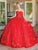 Dancing Queen 1704 - Floral Strapless Ballgown Quinceanera Dresses