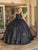 Dancing Queen 1707 - Floral Applique Quinceanera Ballgown Ball Gowns