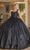 Dancing Queen 1707 - Floral Applique Quinceanera Ballgown Ball Gowns XS / Black