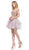 Dancing Queen - 3000 Gold Lace Overlay and Tulle A Line Cocktail Dress Special Occasion Dress XS / Dusty Pink