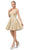 Dancing Queen - 3142 V-Neck Pleated A-Line Cocktail Dress Homecoming Dresses XS / Gold