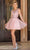 Dancing Queen 3304 - Embroidered Scoop A-Line Cocktail Dress Special Occasion Dress XS / Blush