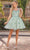 Dancing Queen 3338 - Sweetheart Appliqued Cocktail Dress Special Occasion Dress XS / Sage