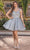Dancing Queen 3338 - Sweetheart Appliqued Cocktail Dress Special Occasion Dress XS / Silver