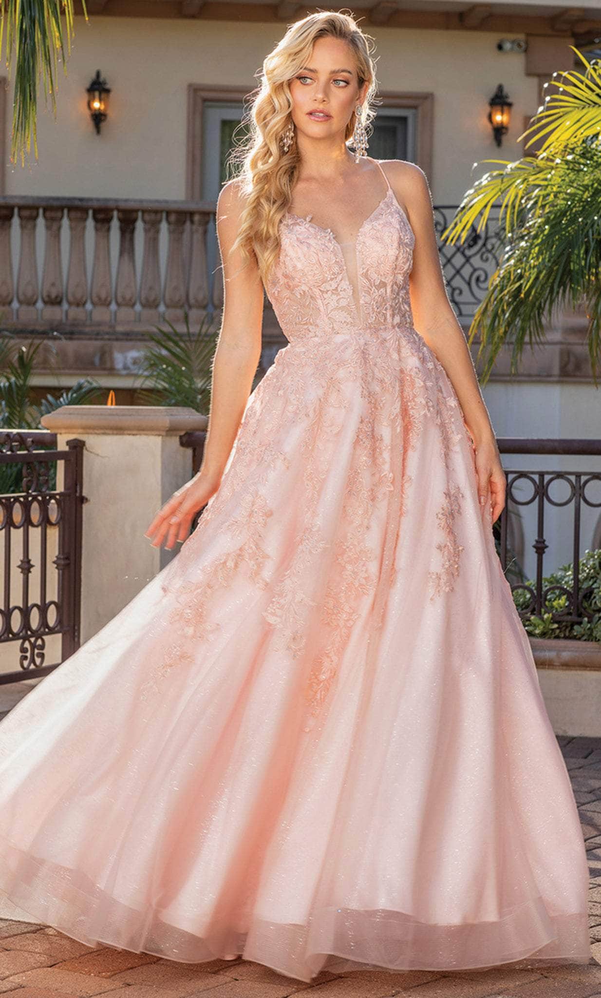 A-Line Floral-Embroidered Long Prom Dress - PromGirl Blush / 3XLarge A-Line Floral-Embroidered Long Prom Dress - PromGirl Blush / 3XLarge