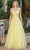 Dancing Queen 4272 - Floral Appliqued Sleeveless Prom Dress Special Occasion Dress XS / Yellow