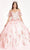 Elizabeth K GL1975 - Floral Glitter Ballgown Special Occasion Dress XS / Blush