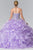 Elizabeth K - GL2209 Ruffled Sweetheart Ballgown Special Occasion Dress