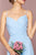 Elizabeth K - GL2666 Shirred Surplice Sweetheart Bodice Gown Special Occasion Dress