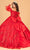 Elizabeth K GL3071 - Detachable Sheer Sleeves Ballgown Special Occasion Dress