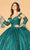 Elizabeth K GL3073 - Embroidered Tulle Ballgown Special Occasion Dress
