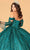 Elizabeth K GL3073 - Embroidered Tulle Ballgown Special Occasion Dress