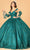 Elizabeth K GL3073 - Embroidered Tulle Ballgown Special Occasion Dress XS / Green