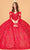 Elizabeth K GL3073 - Embroidered Tulle Ballgown Special Occasion Dress XS / Red