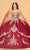 Elizabeth K GL3078 - Tulle Cape Ballgown Special Occasion Dress