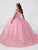 Fiesta Gowns 56462 - Embroidered Floral Off Shoulder Gown Special Occasion Dress