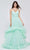 J'Adore - J20023 Sweetheart Ruffled Tulle Dress Special Occasion Dress 2 / Mint