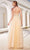 J'Adore - JM104 Lace Applique Bodice Glitter Tulle A-Line Gown In Neutral and Yellow