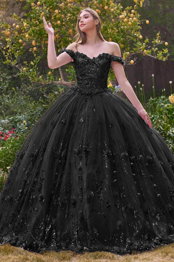 Ladivine 15704 - Sweetheart Floral Appliqued Ballgown Ball Gowns XS / Black