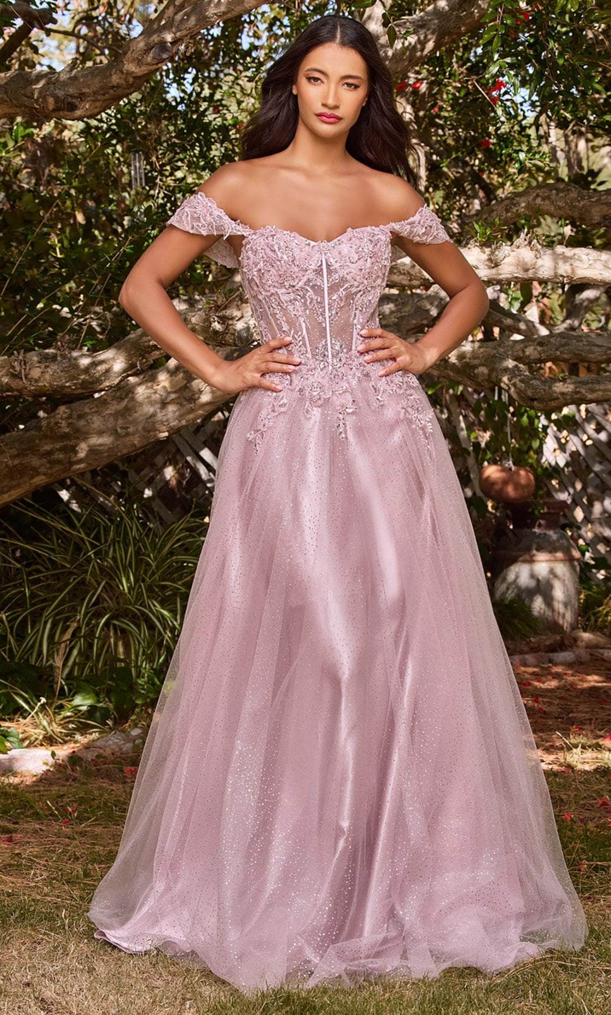 Ladivine CD0198 - Lace A-Line Prom Dress Couture Candy Ladivine CD0198 - Lace A-Line Prom Dress Couture Candy