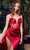 Ladivine CD269 - Sheer Corset Prom Dress Evening Dresses