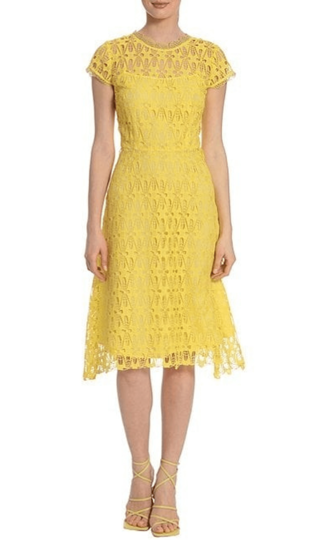 Maggy London G5177M - Scallop A-line Casual Dress Maggy London G5177M - Scallop A-line Casual Dress